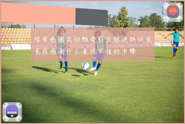 绿军感谢武切维奇引发球迷热议究竟在感谢什么表现不佳的中锋